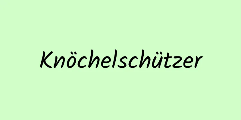 Knöchelschützer