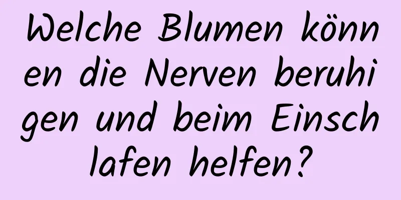 Welche Blumen können die Nerven beruhigen und beim Einschlafen helfen?