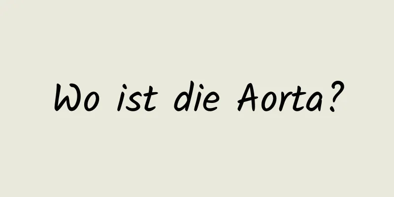 Wo ist die Aorta?
