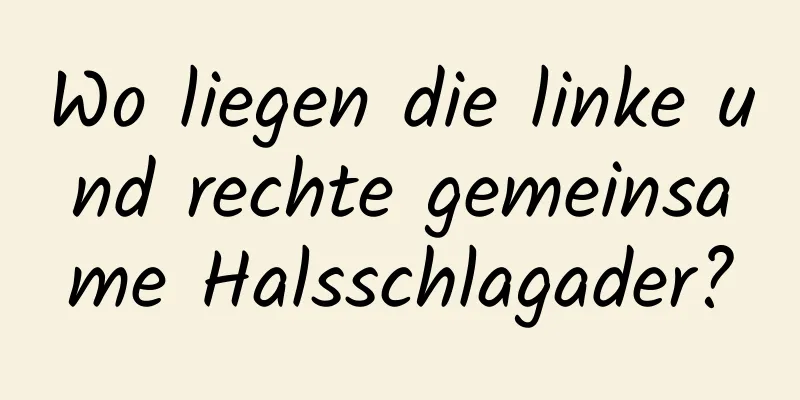 Wo liegen die linke und rechte gemeinsame Halsschlagader?