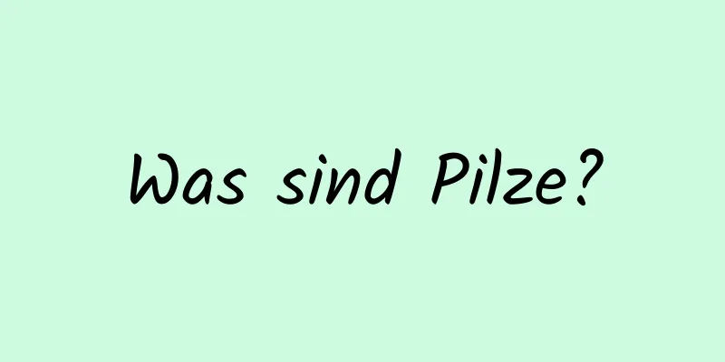 Was sind Pilze?