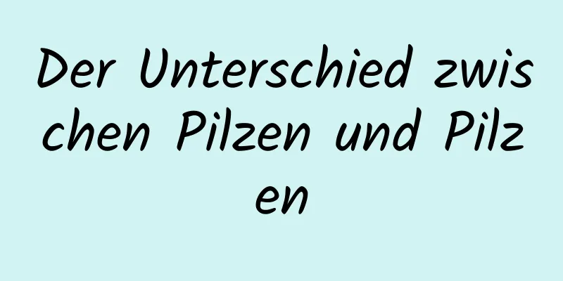 Der Unterschied zwischen Pilzen und Pilzen