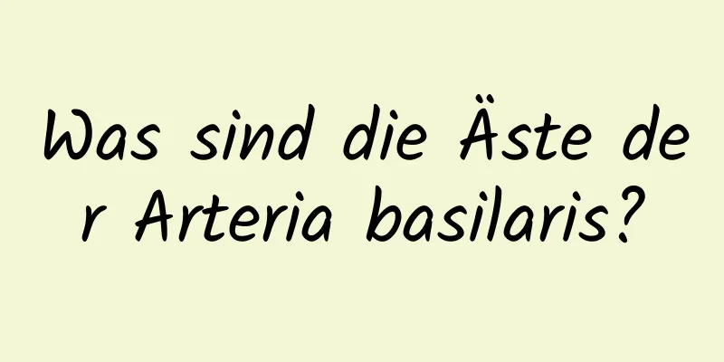 Was sind die Äste der Arteria basilaris?