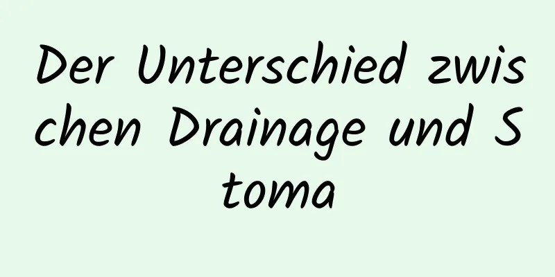Der Unterschied zwischen Drainage und Stoma