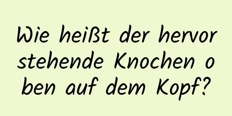 Wie heißt der hervorstehende Knochen oben auf dem Kopf?