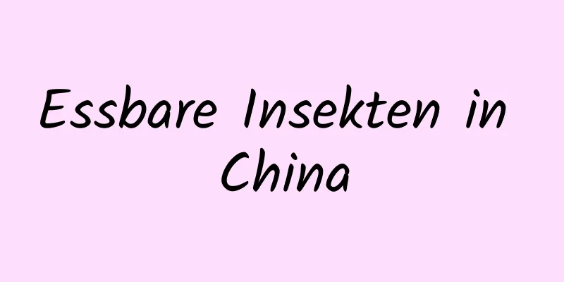 Essbare Insekten in China