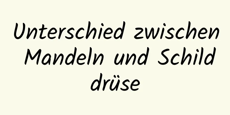 Unterschied zwischen Mandeln und Schilddrüse