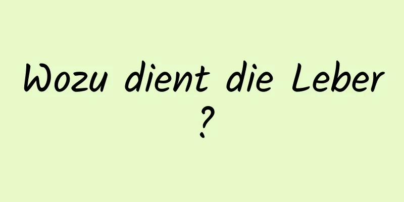 Wozu dient die Leber?