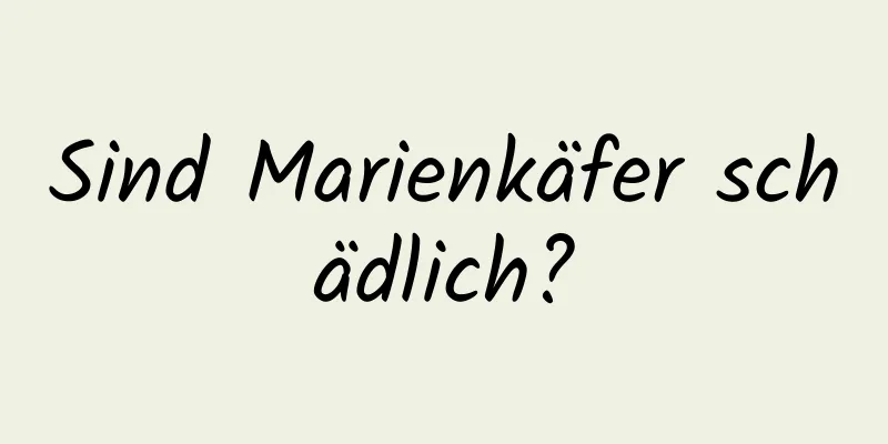 Sind Marienkäfer schädlich?