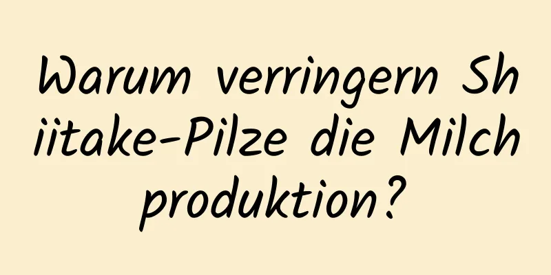 Warum verringern Shiitake-Pilze die Milchproduktion?