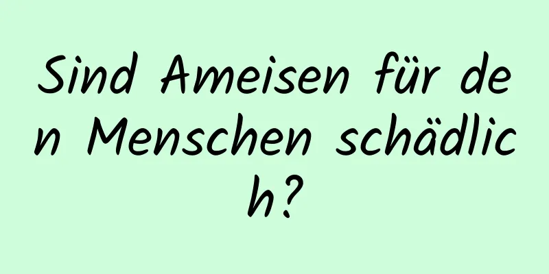 Sind Ameisen für den Menschen schädlich?