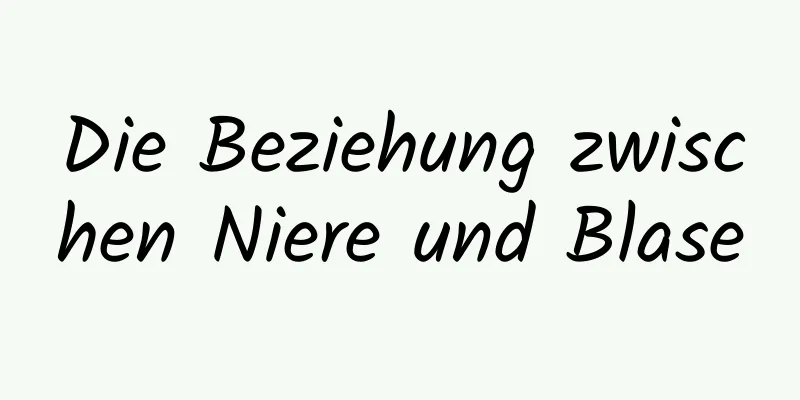 Die Beziehung zwischen Niere und Blase