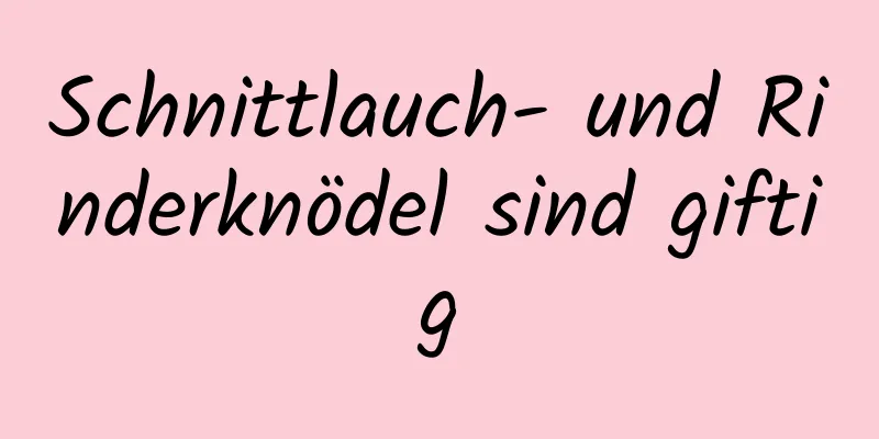 Schnittlauch- und Rinderknödel sind giftig