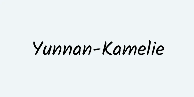 Yunnan-Kamelie
