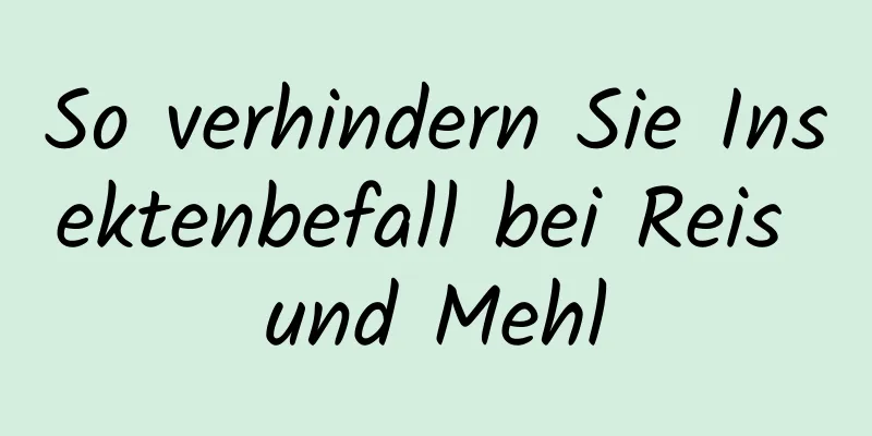 So verhindern Sie Insektenbefall bei Reis und Mehl
