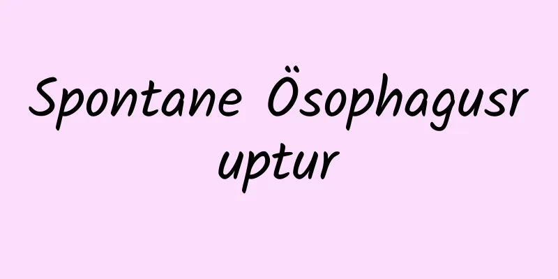 Spontane Ösophagusruptur