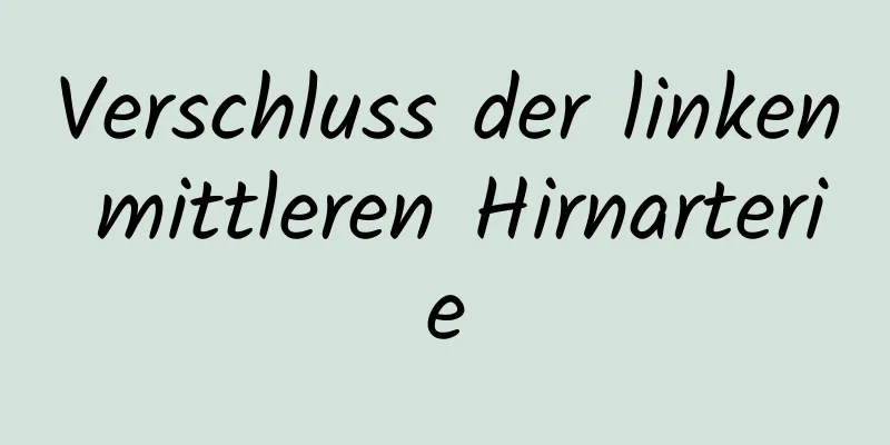 Verschluss der linken mittleren Hirnarterie