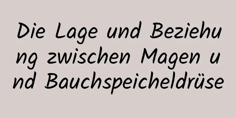 Die Lage und Beziehung zwischen Magen und Bauchspeicheldrüse