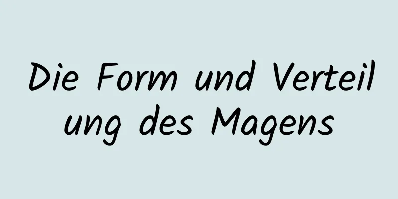 Die Form und Verteilung des Magens