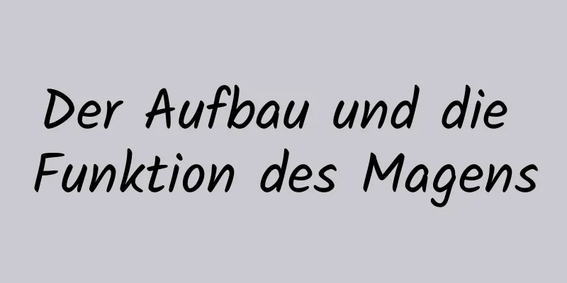 Der Aufbau und die Funktion des Magens