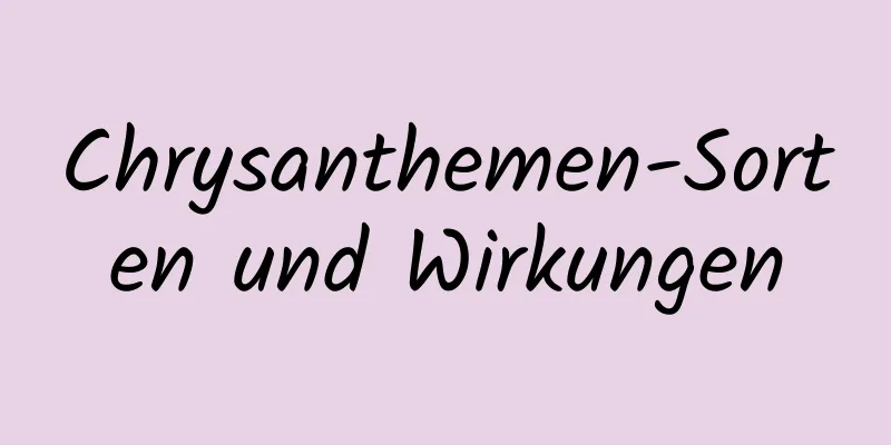 Chrysanthemen-Sorten und Wirkungen