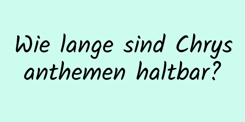 Wie lange sind Chrysanthemen haltbar?