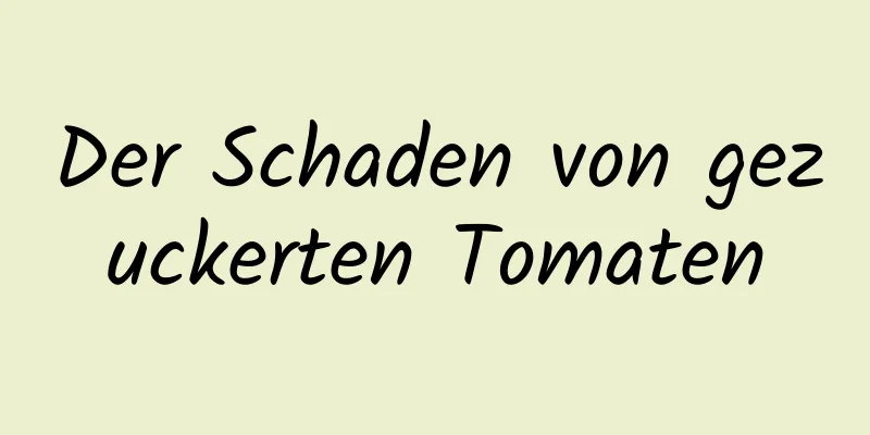 Der Schaden von gezuckerten Tomaten