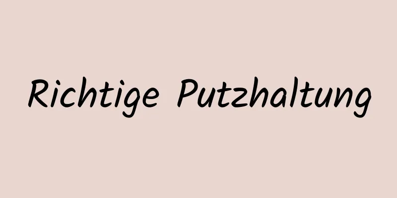 Richtige Putzhaltung