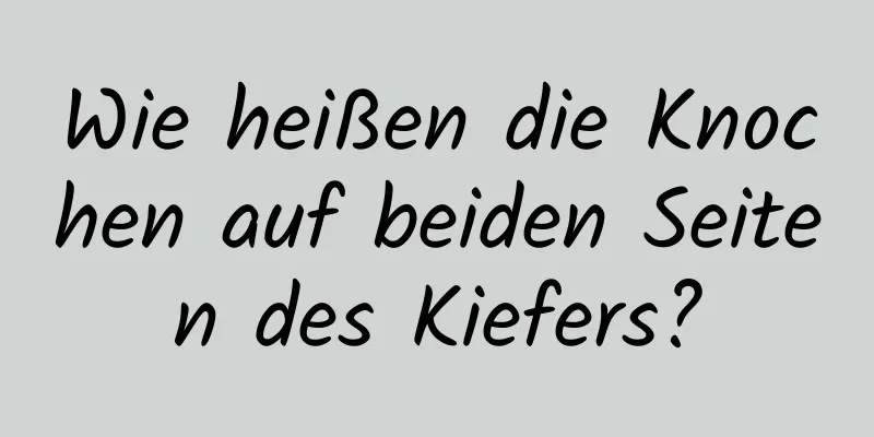 Wie heißen die Knochen auf beiden Seiten des Kiefers?