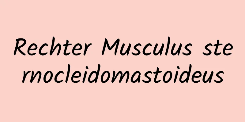 Rechter Musculus sternocleidomastoideus