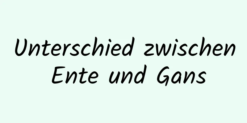 Unterschied zwischen Ente und Gans