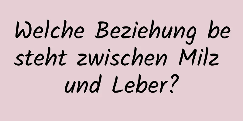 Welche Beziehung besteht zwischen Milz und Leber?