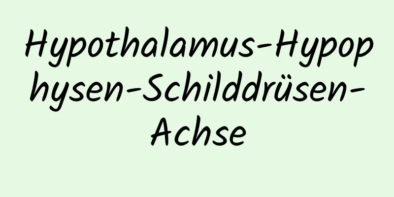 Hypothalamus-Hypophysen-Schilddrüsen-Achse