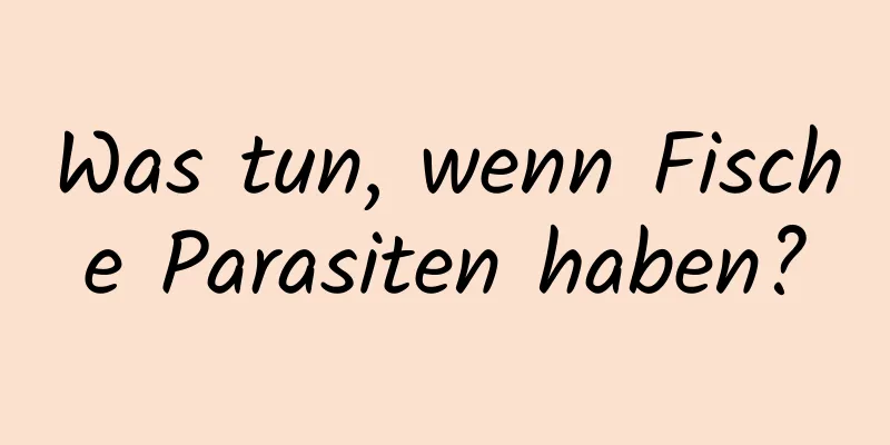 Was tun, wenn Fische Parasiten haben?