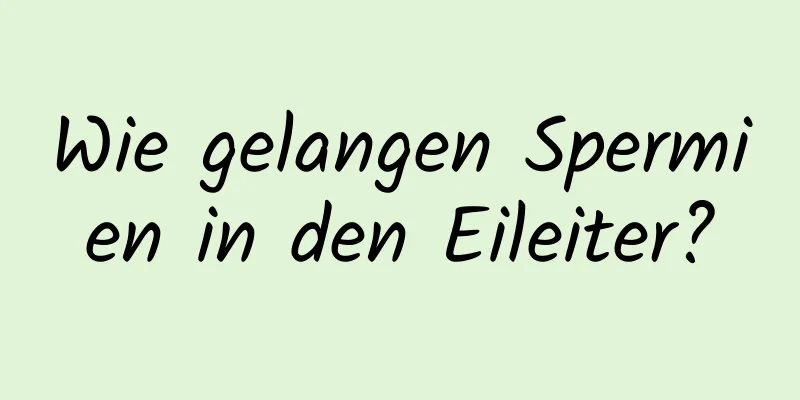Wie gelangen Spermien in den Eileiter?