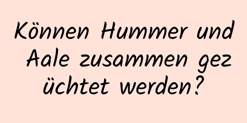 Können Hummer und Aale zusammen gezüchtet werden?