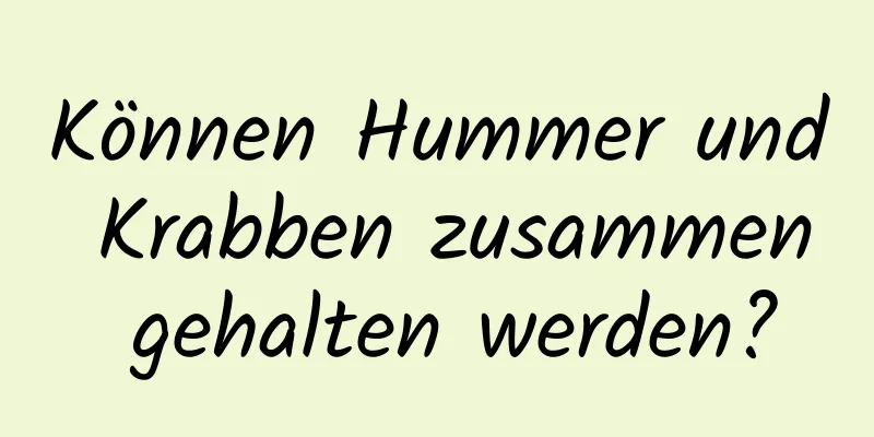 Können Hummer und Krabben zusammen gehalten werden?