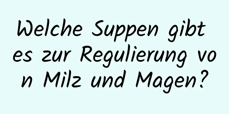 Welche Suppen gibt es zur Regulierung von Milz und Magen?