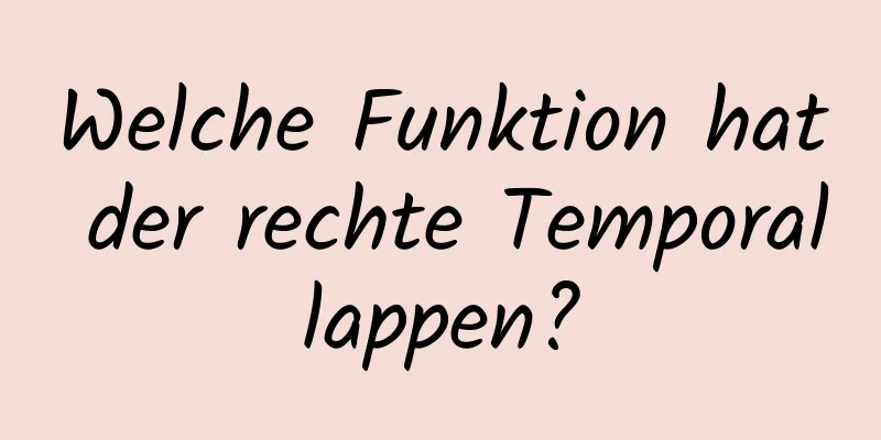 Welche Funktion hat der rechte Temporallappen?