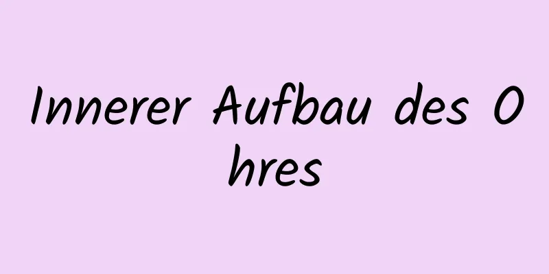 Innerer Aufbau des Ohres