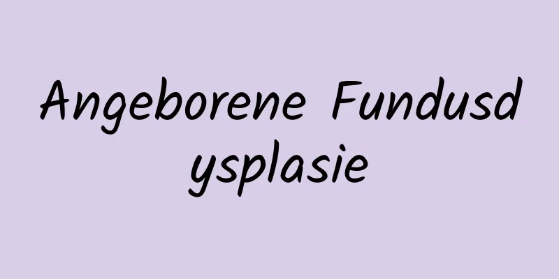 Angeborene Fundusdysplasie