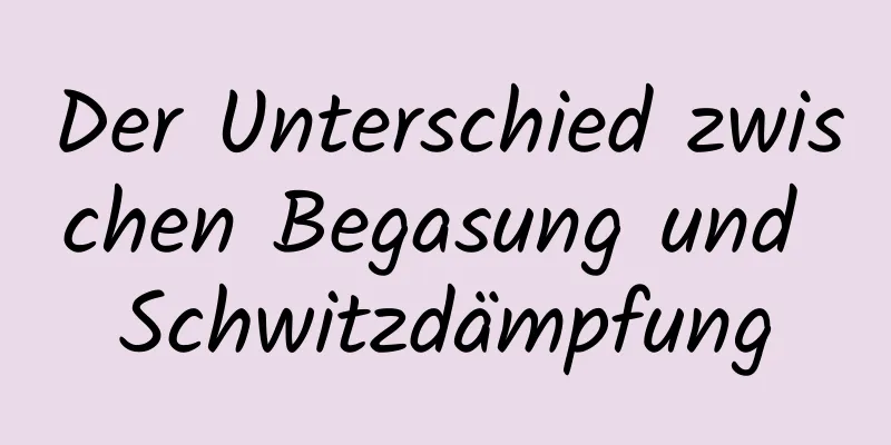 Der Unterschied zwischen Begasung und Schwitzdämpfung