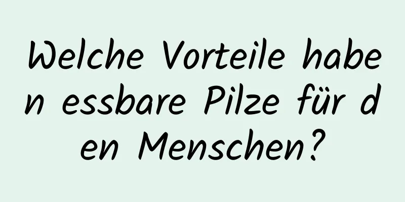 Welche Vorteile haben essbare Pilze für den Menschen?