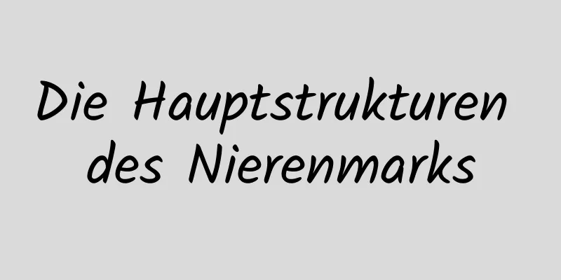 Die Hauptstrukturen des Nierenmarks