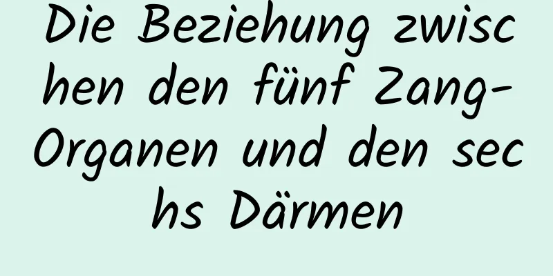 Die Beziehung zwischen den fünf Zang-Organen und den sechs Därmen
