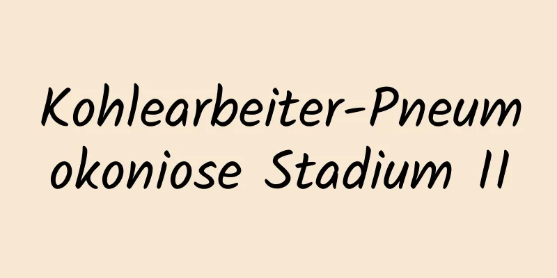 Kohlearbeiter-Pneumokoniose Stadium II