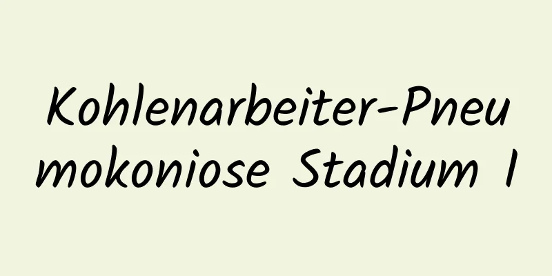 Kohlenarbeiter-Pneumokoniose Stadium I