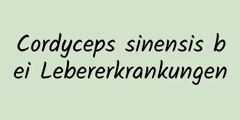 Cordyceps sinensis bei Lebererkrankungen