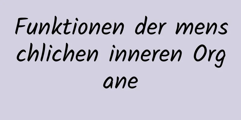 Funktionen der menschlichen inneren Organe