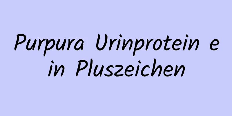 Purpura Urinprotein ein Pluszeichen
